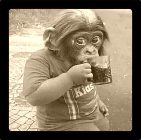 SLOT6000: Showroom Digital Mobil Bekas Etalase Merk Beragam