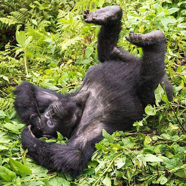 Galeri foto CITARU88: Link Alternatif Terbaru di Bulan April 2026 di Hongkong